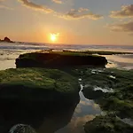 Nova البوفيرا