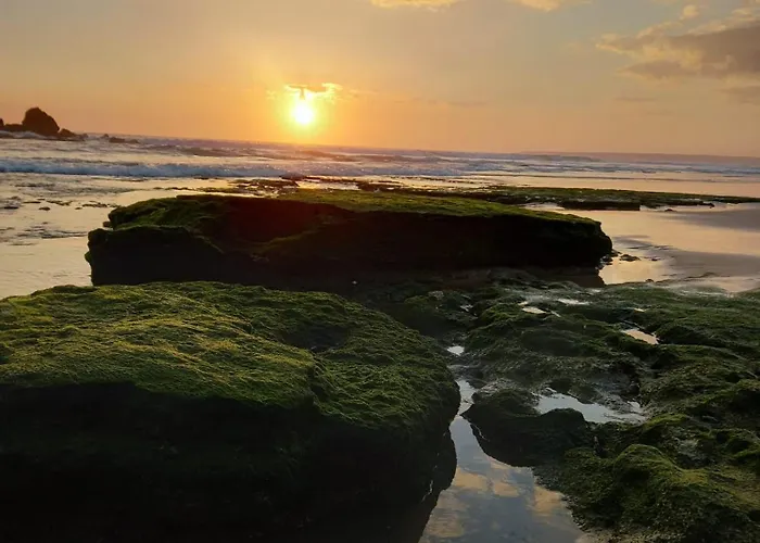 Nova アルブフェイラ