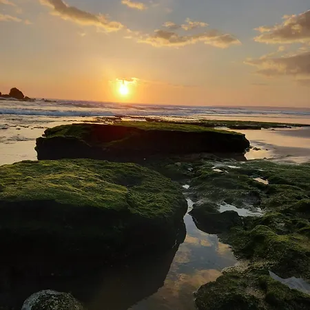 Nova Αλμπουφέιρα